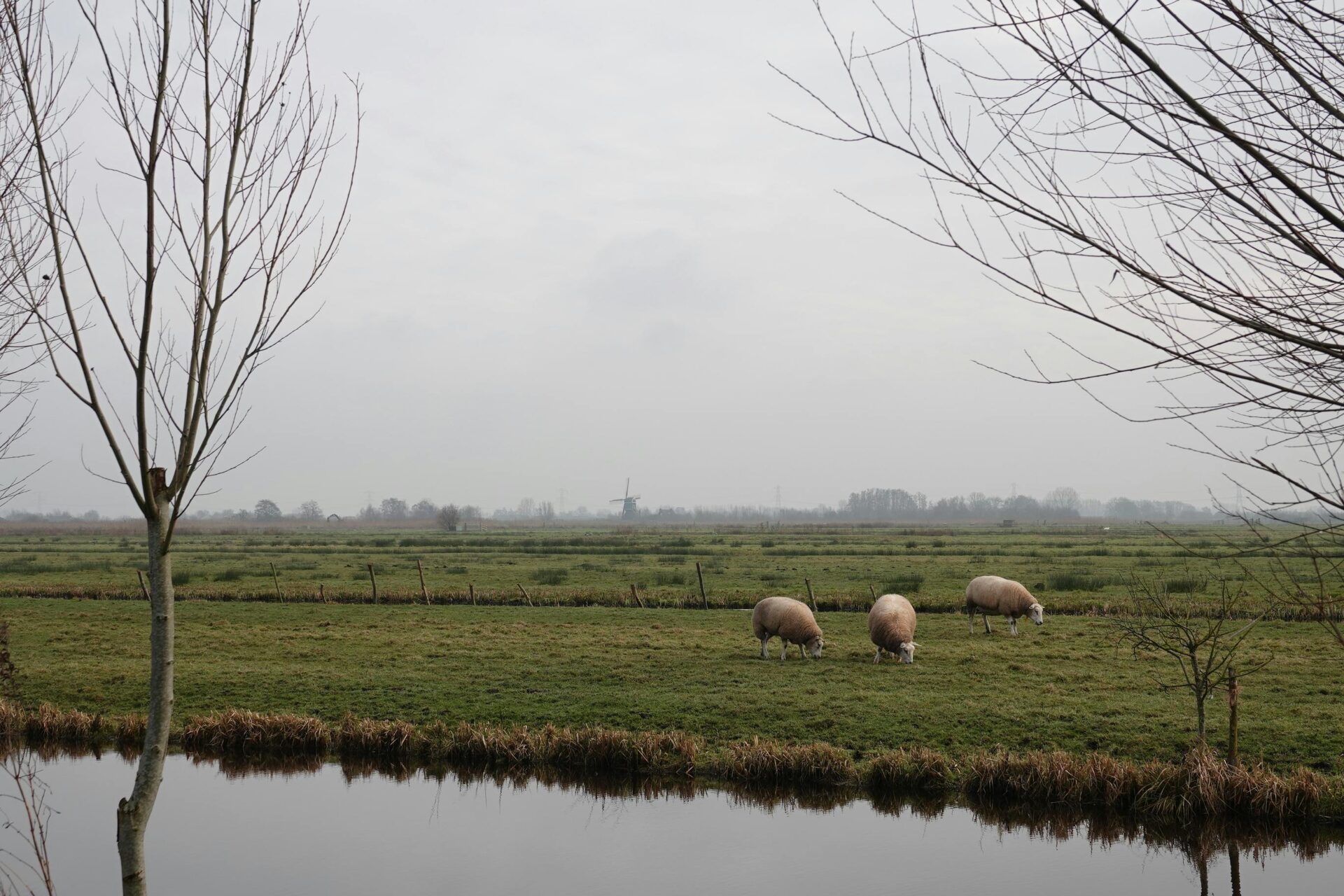 nature photography