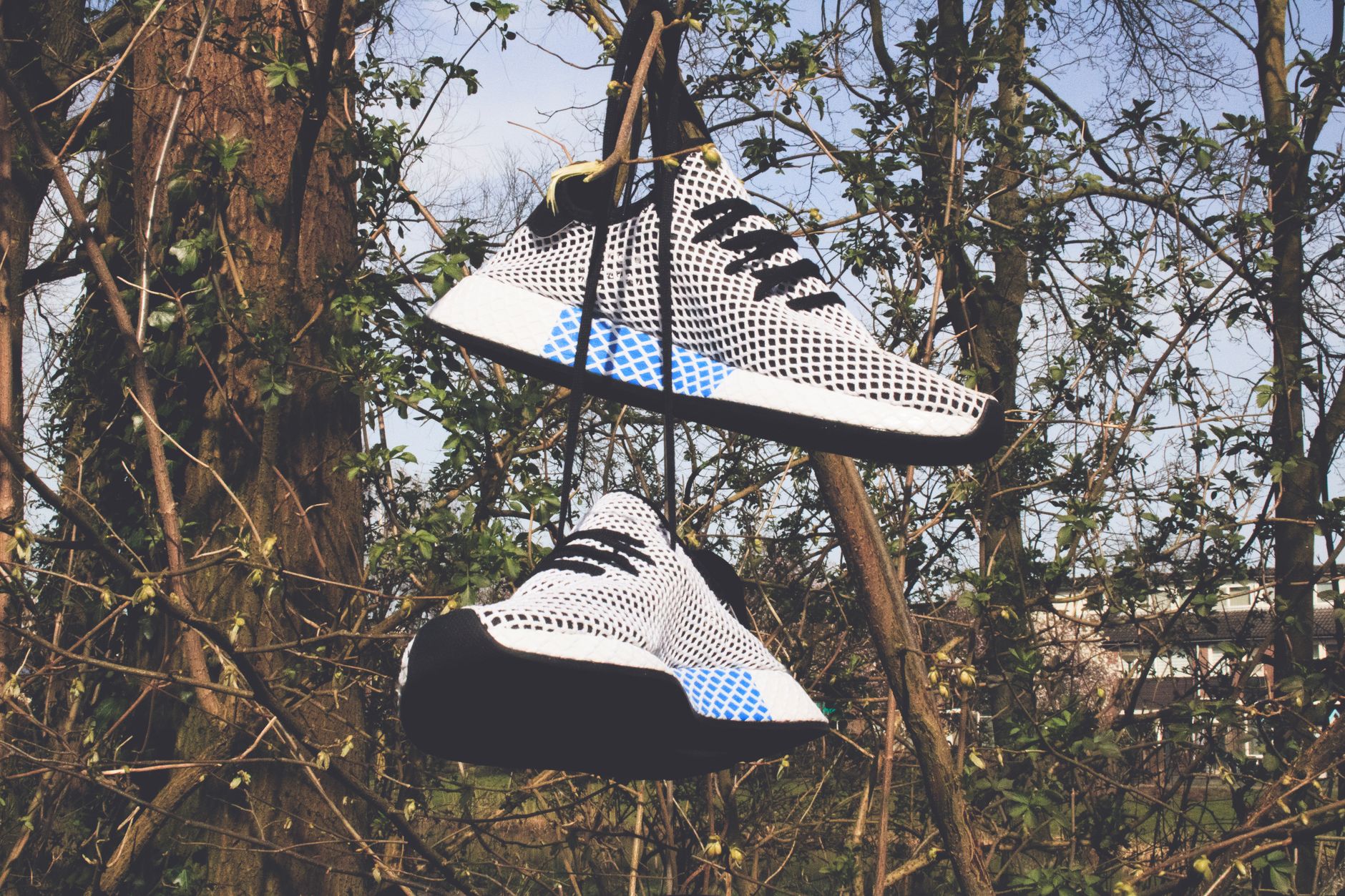 sneakers summer
