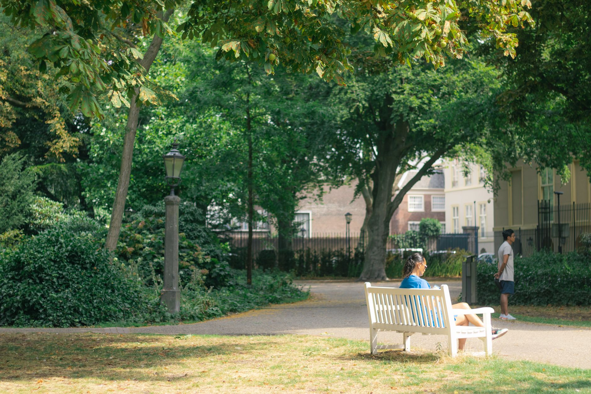summer park benches