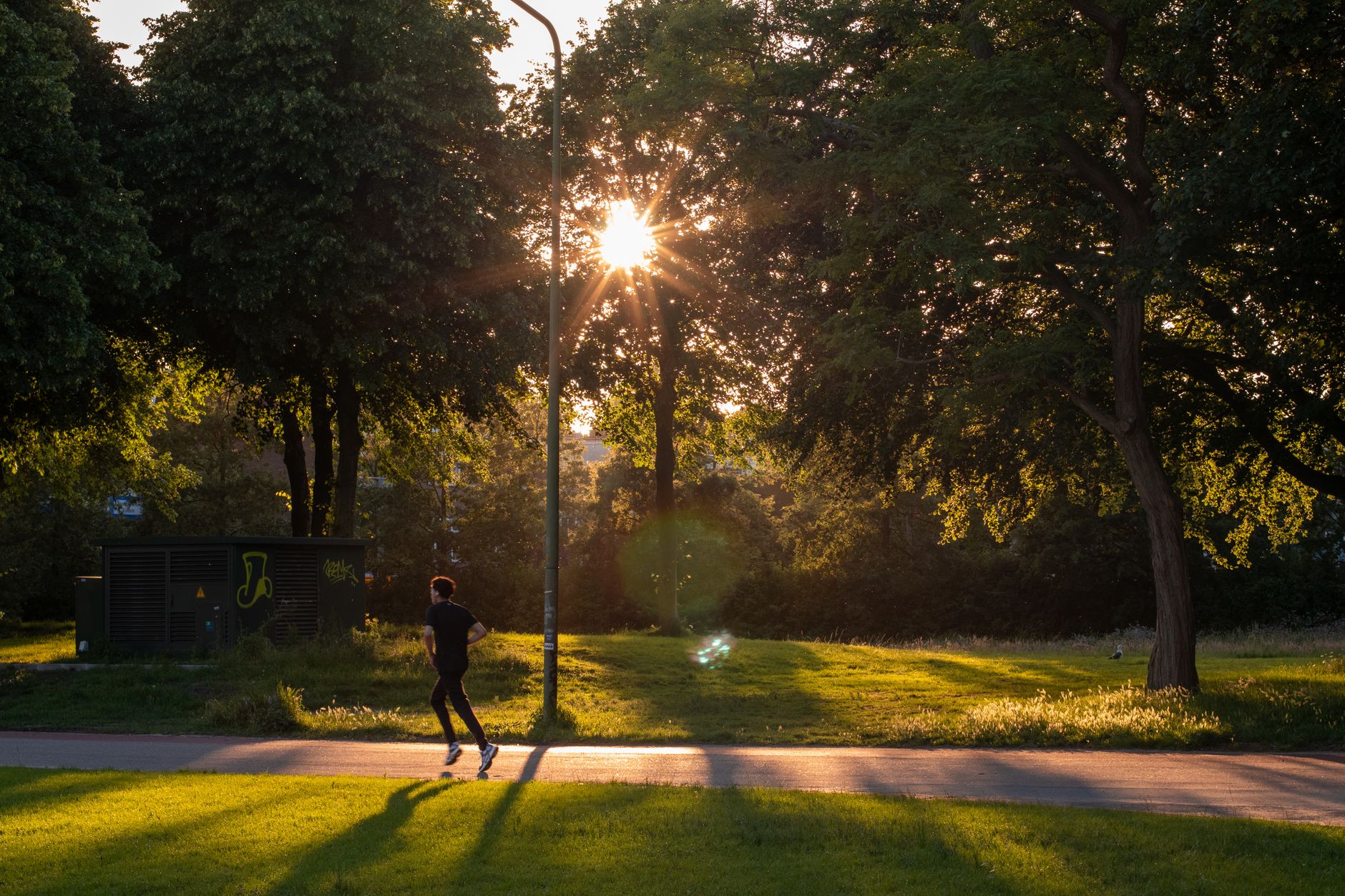 summer fitness activities