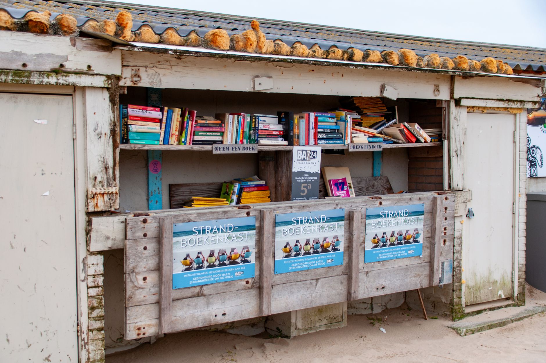 summer reading books