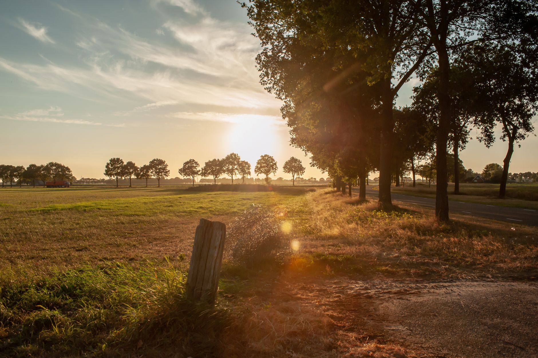 summer landscape