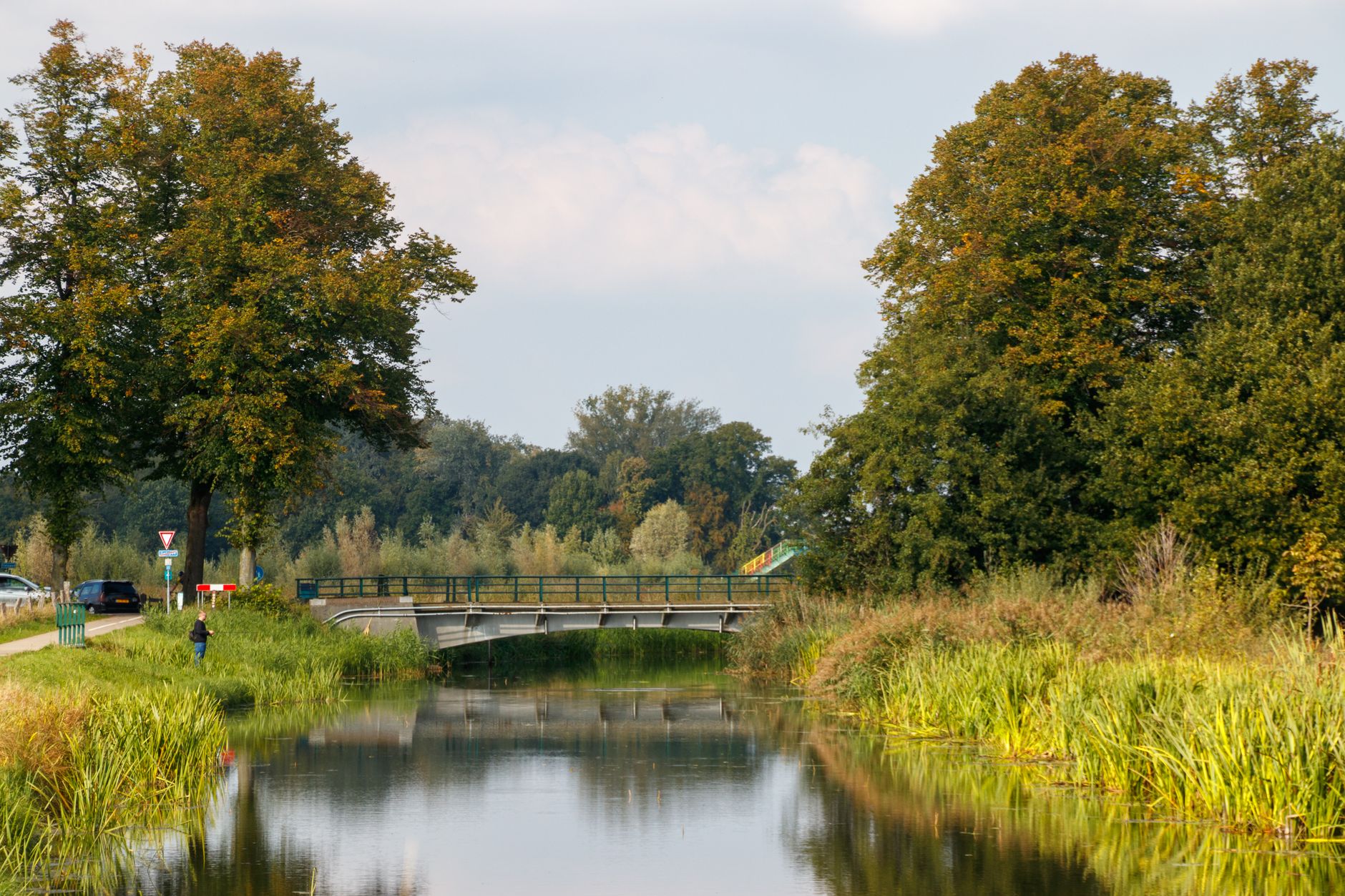 summer wildlife bridge