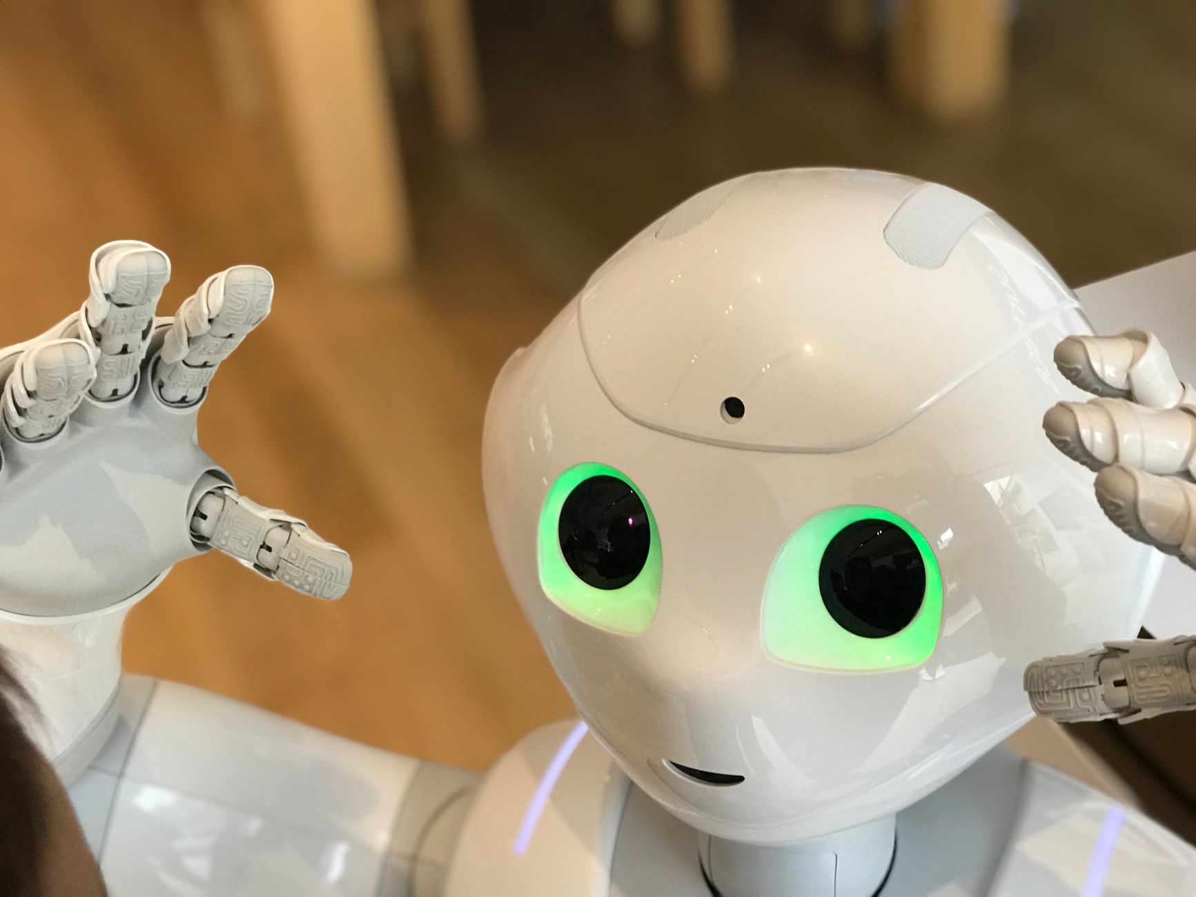 summer robotics innovation