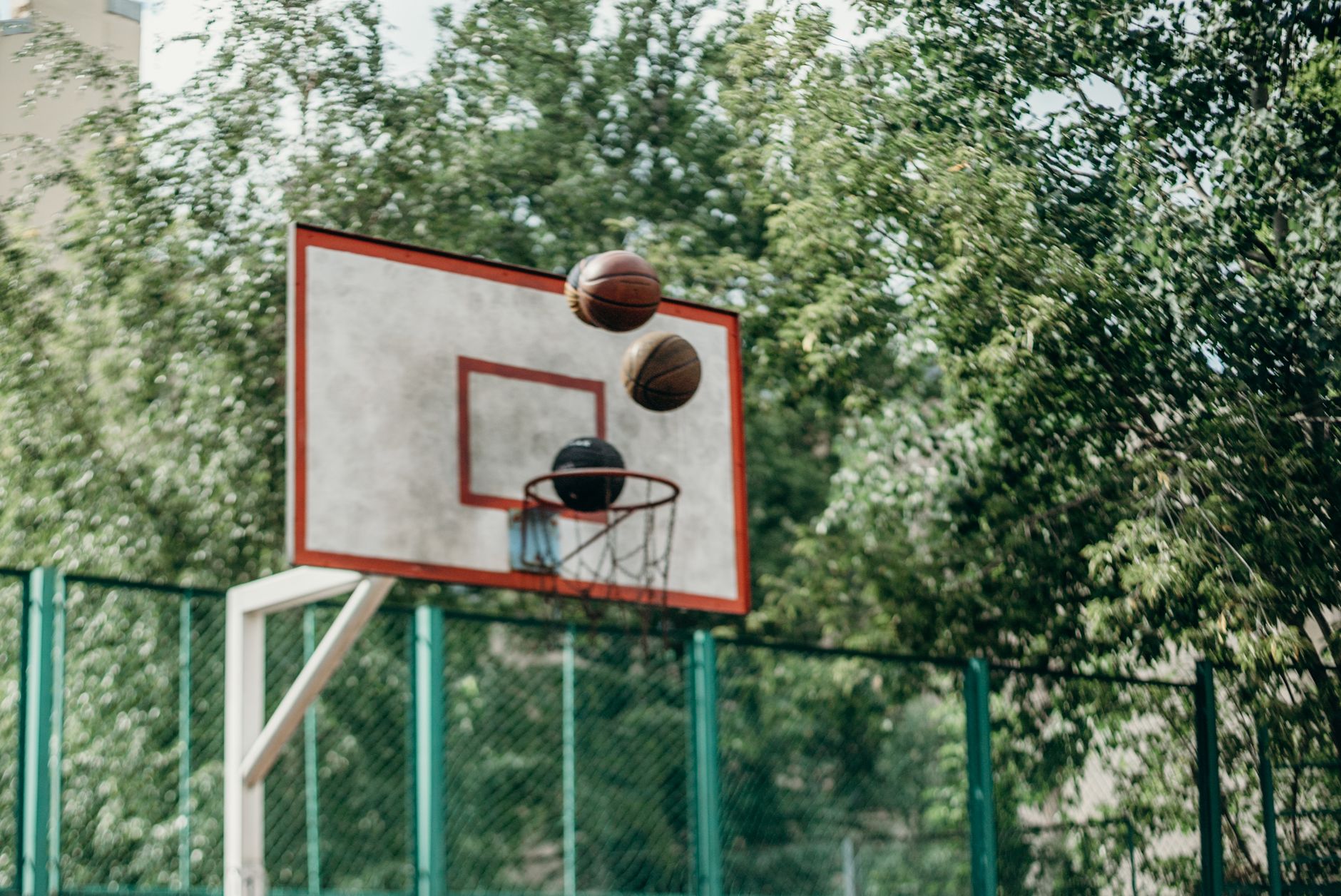 basketball summer sports