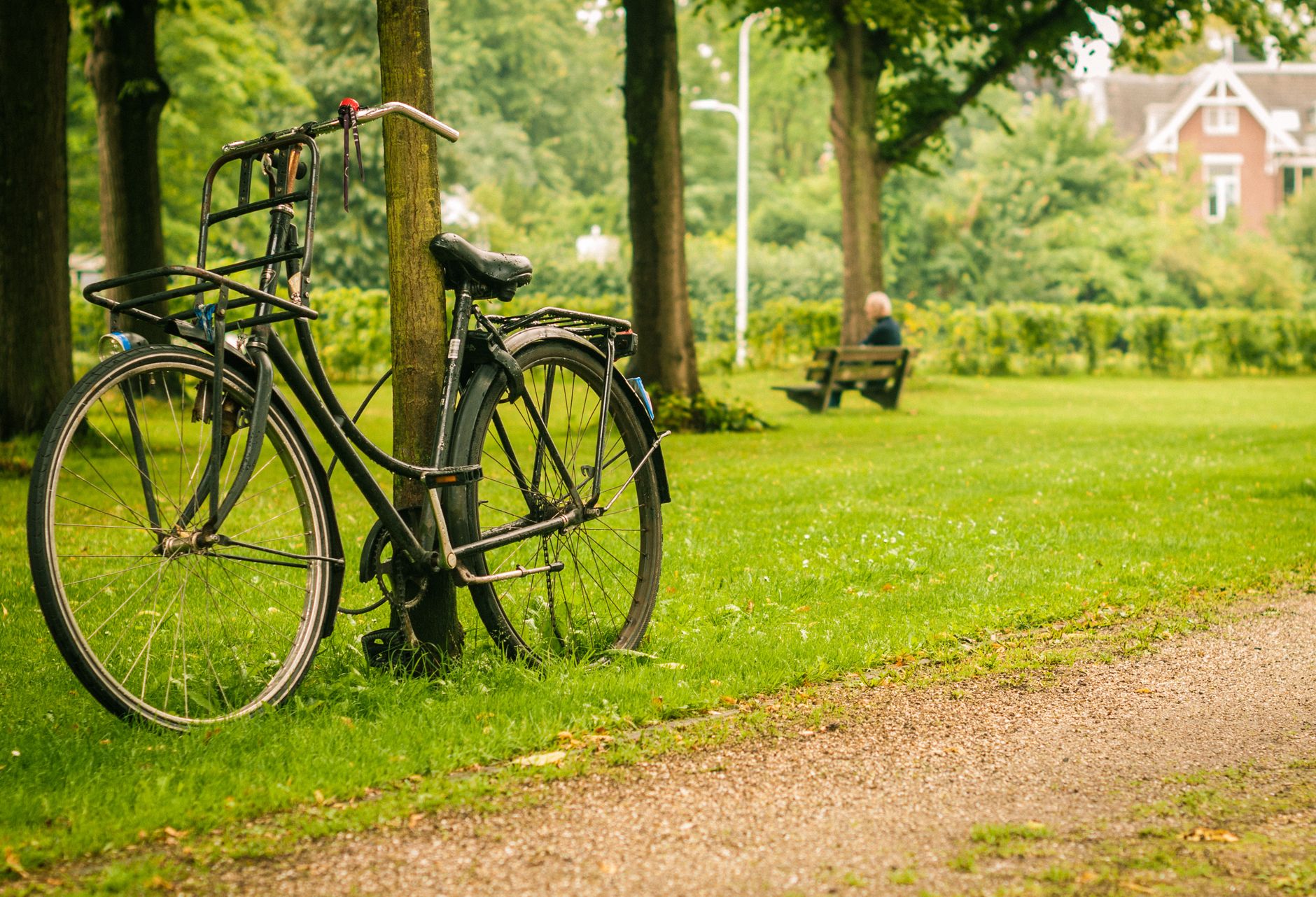 summer cycling accident