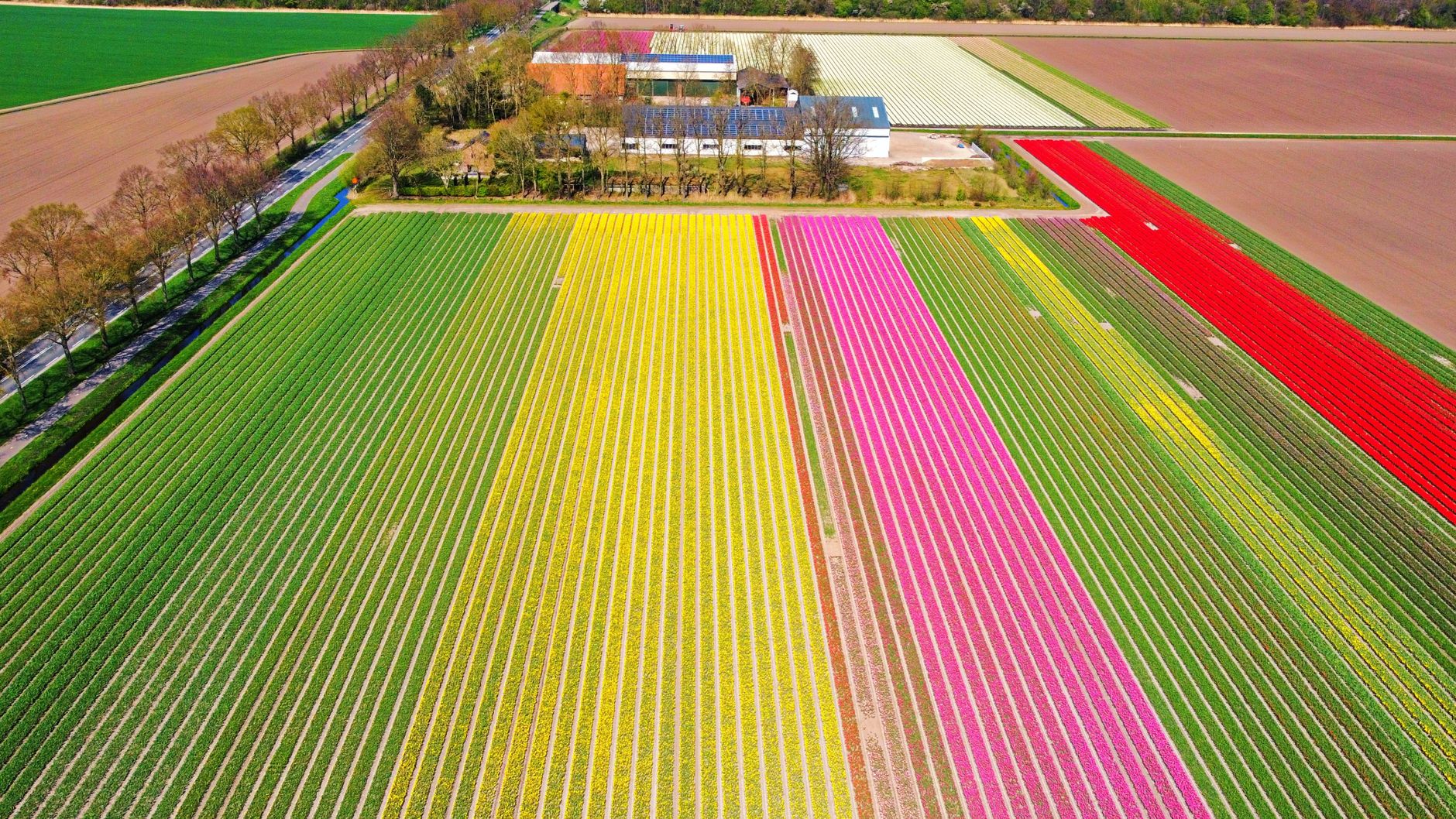summer farming techniques