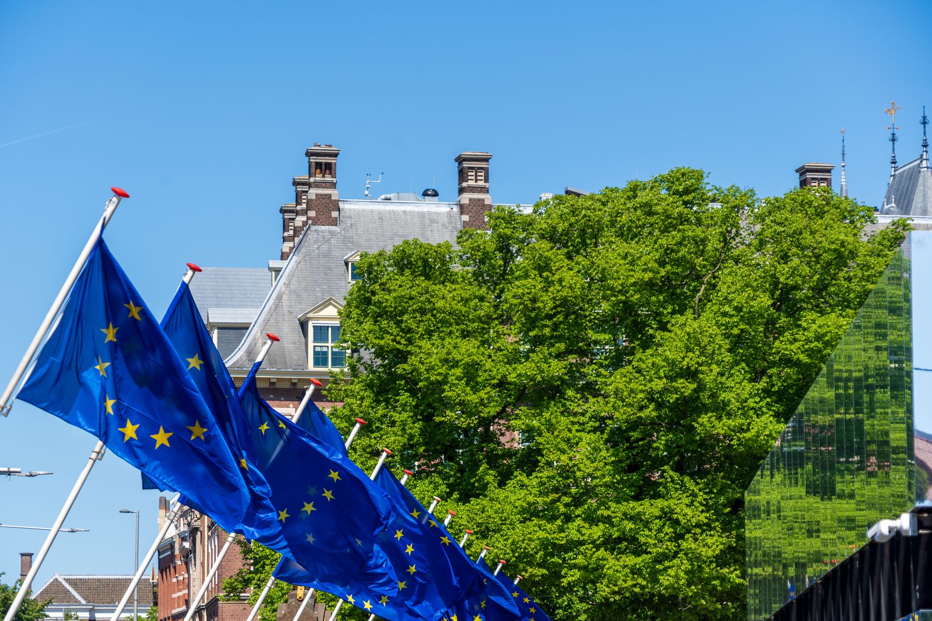 summer politics Dinkelland