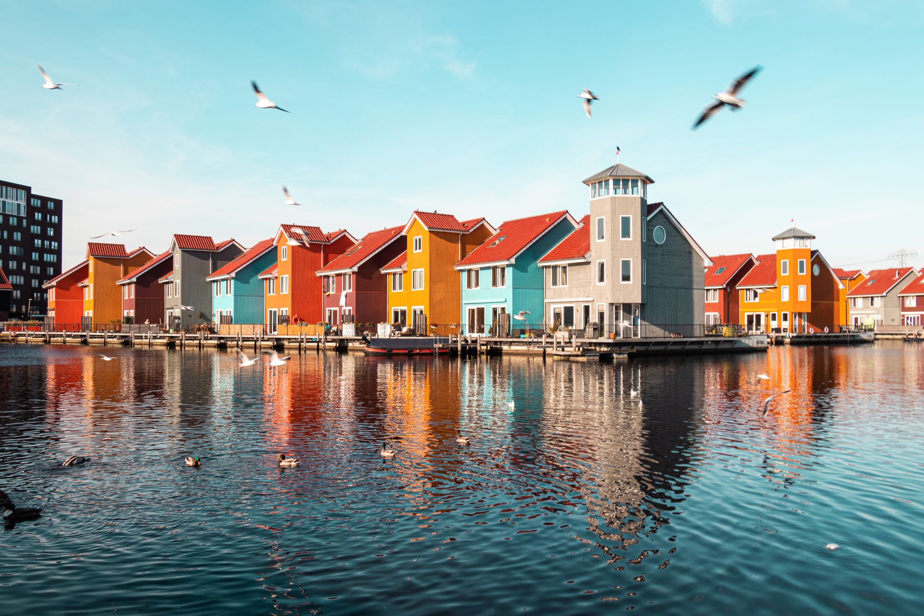 summer Groningen houses