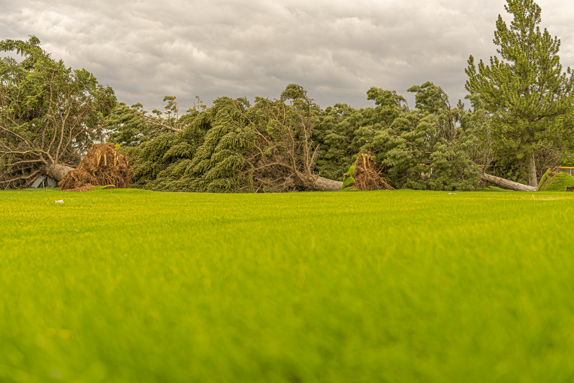 storm damage in summer