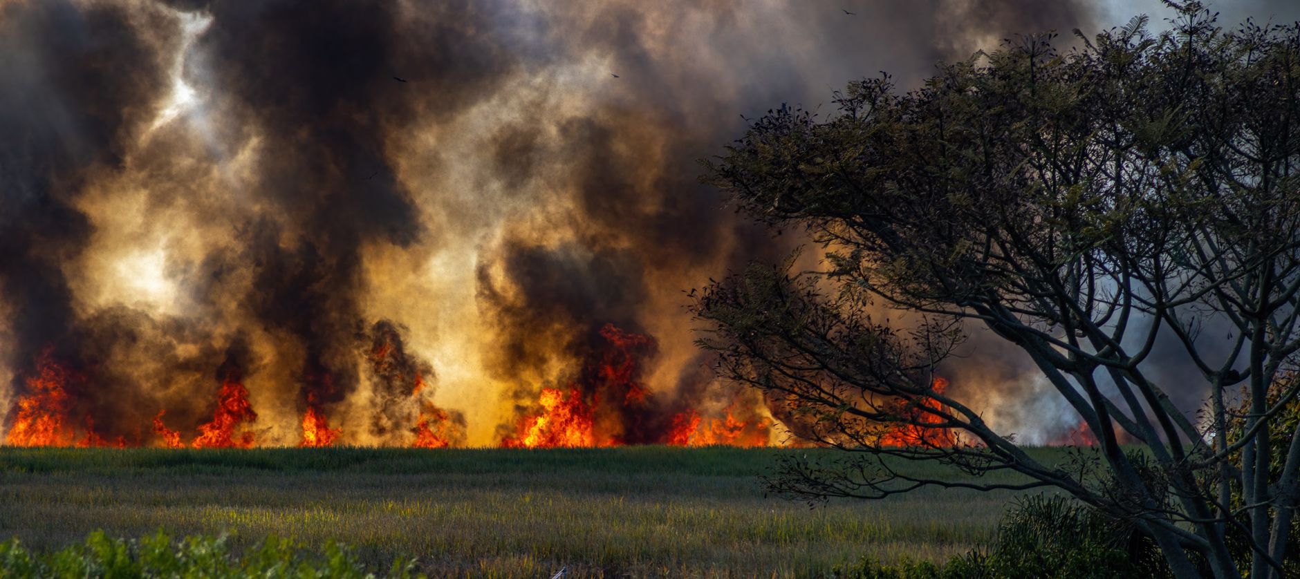 summer fire incident