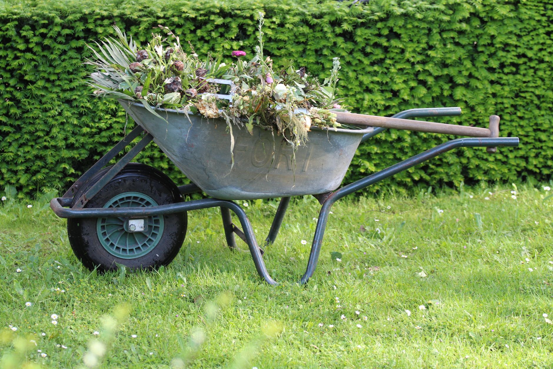 summer garden design