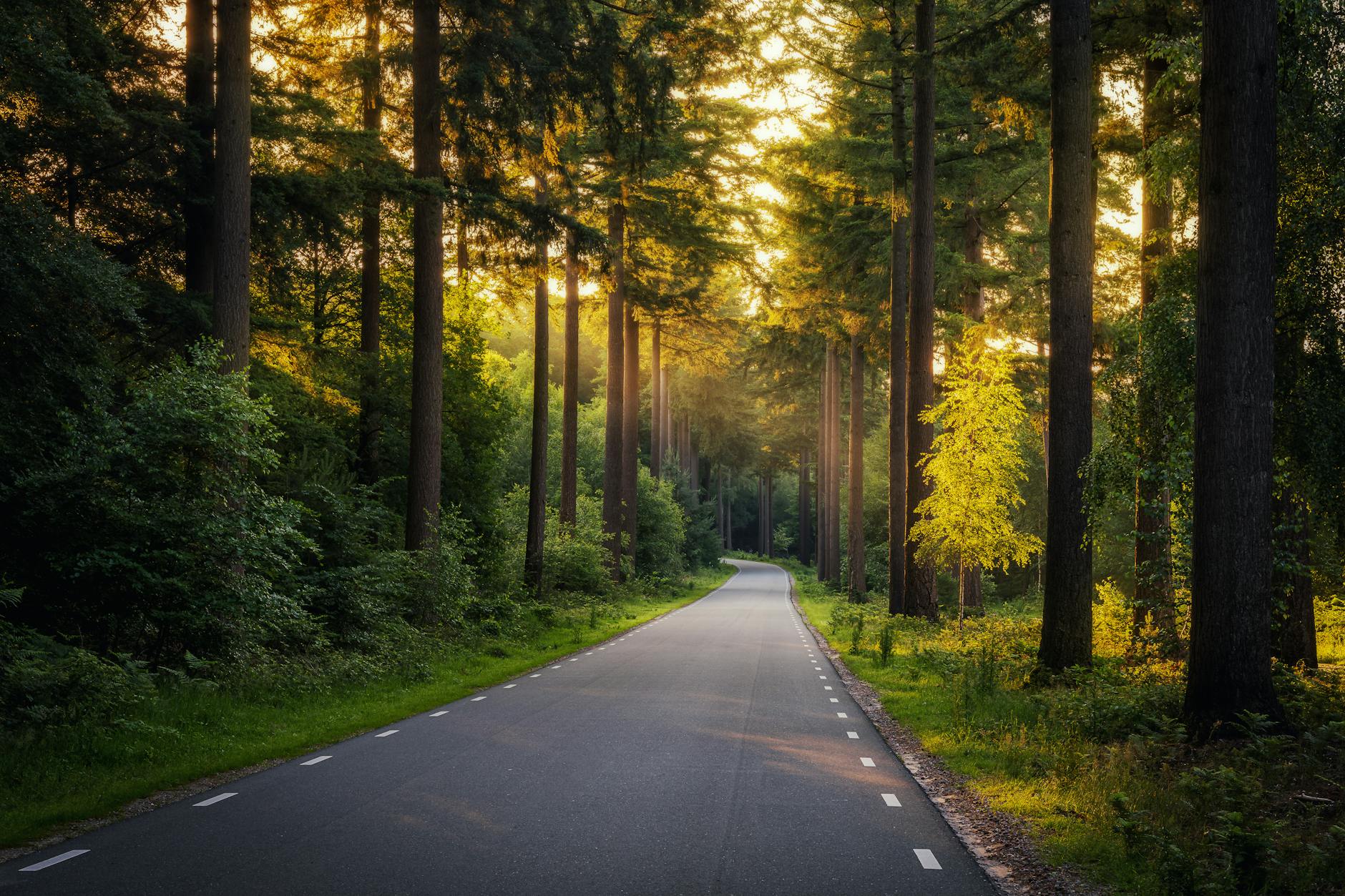 summer road trip