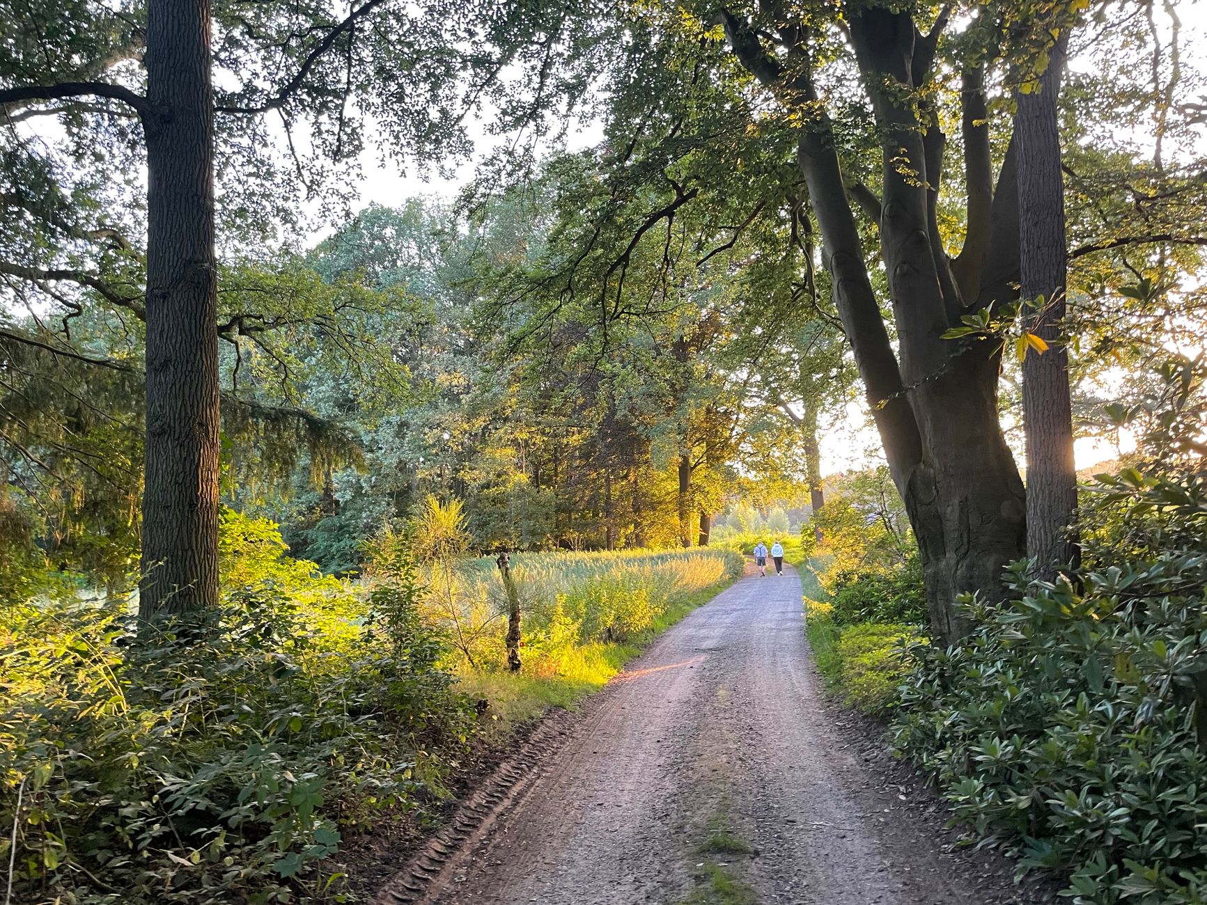 summer events in Enschede