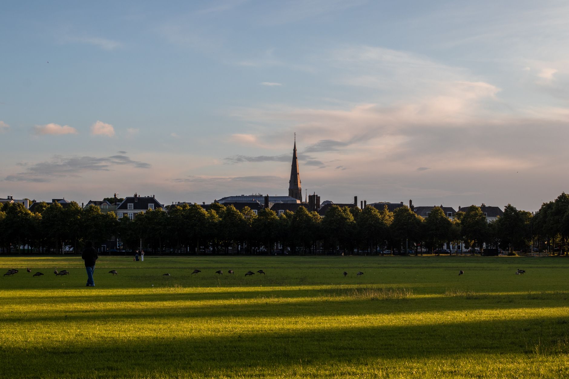summer urban landscape