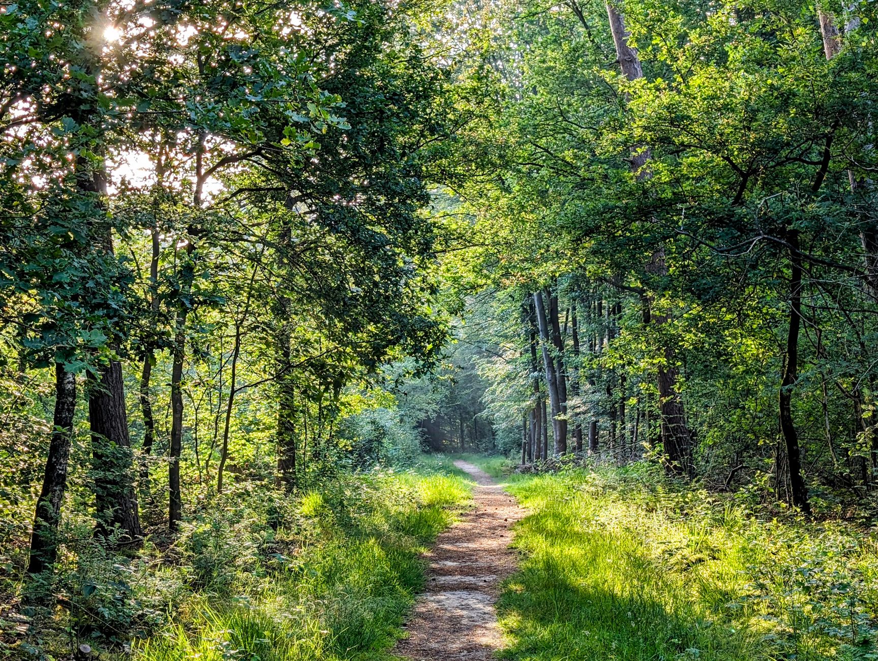 summer nature center