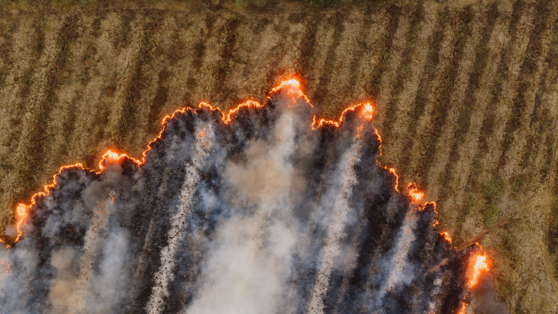 summer wildfire