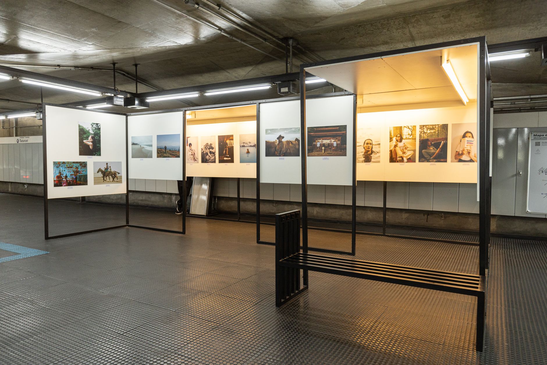 art exhibition summer