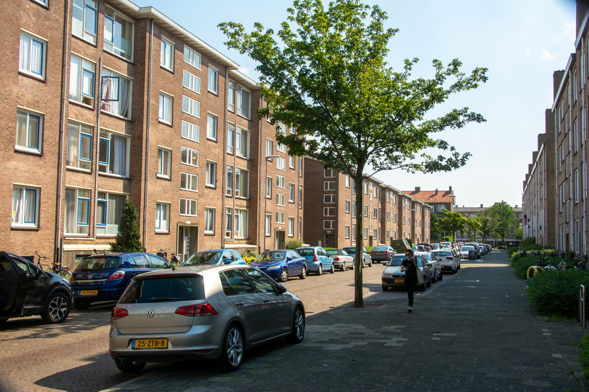 summer community living