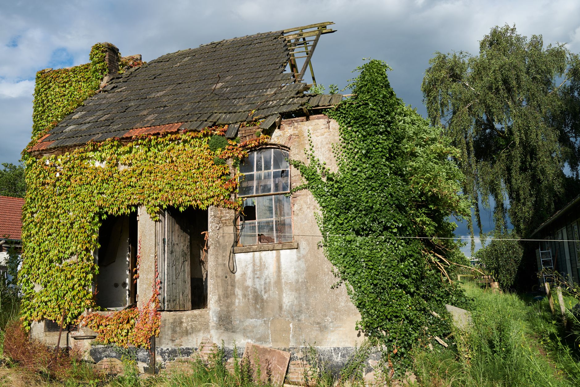 abandoned building summer
